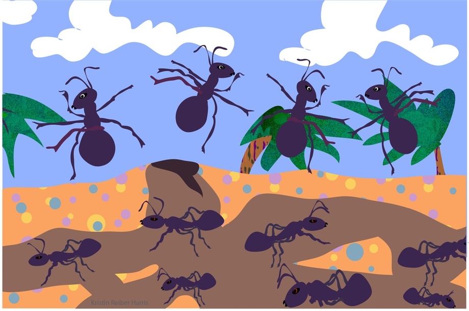 Non-toxic Ways to Get Rid of Ants